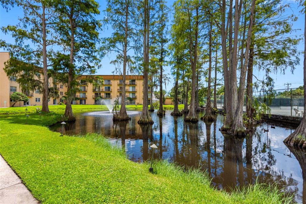 5820 North Church Avenue, Unit 346 Tampa, FL 33614 - Photo 22 of 30 a backyard of a house with table and chairs