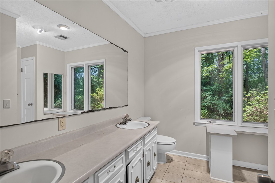 123 Robin Road Westminster, SC 29693 - Photo 30 of 50 Two windows frame verdant views in this naturally illuminated bathroom, featuring a double vanity.