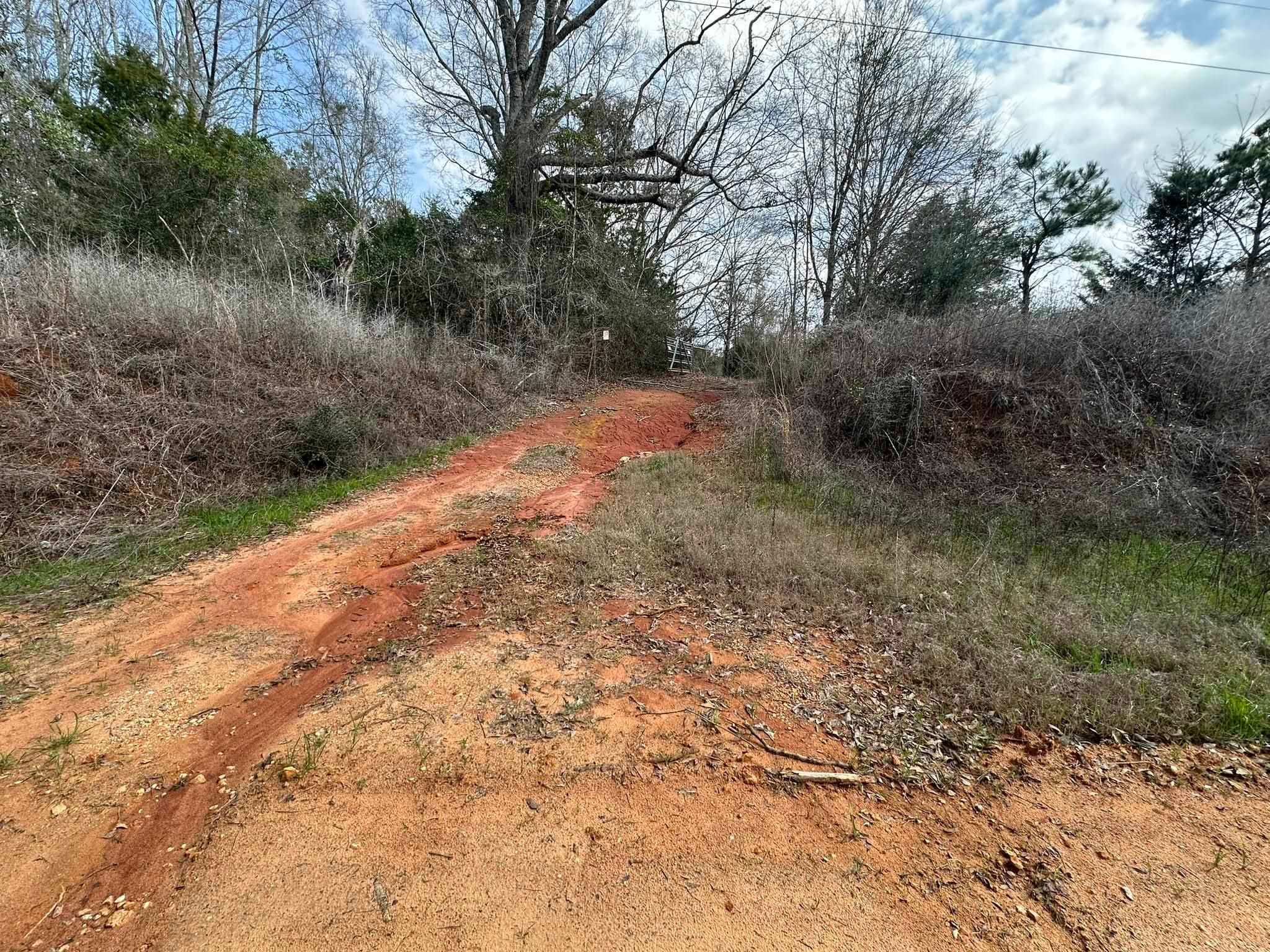 0 Piney Grove Road Opp, AL 36467 - Photo 10 of 20 Gallery Image 10