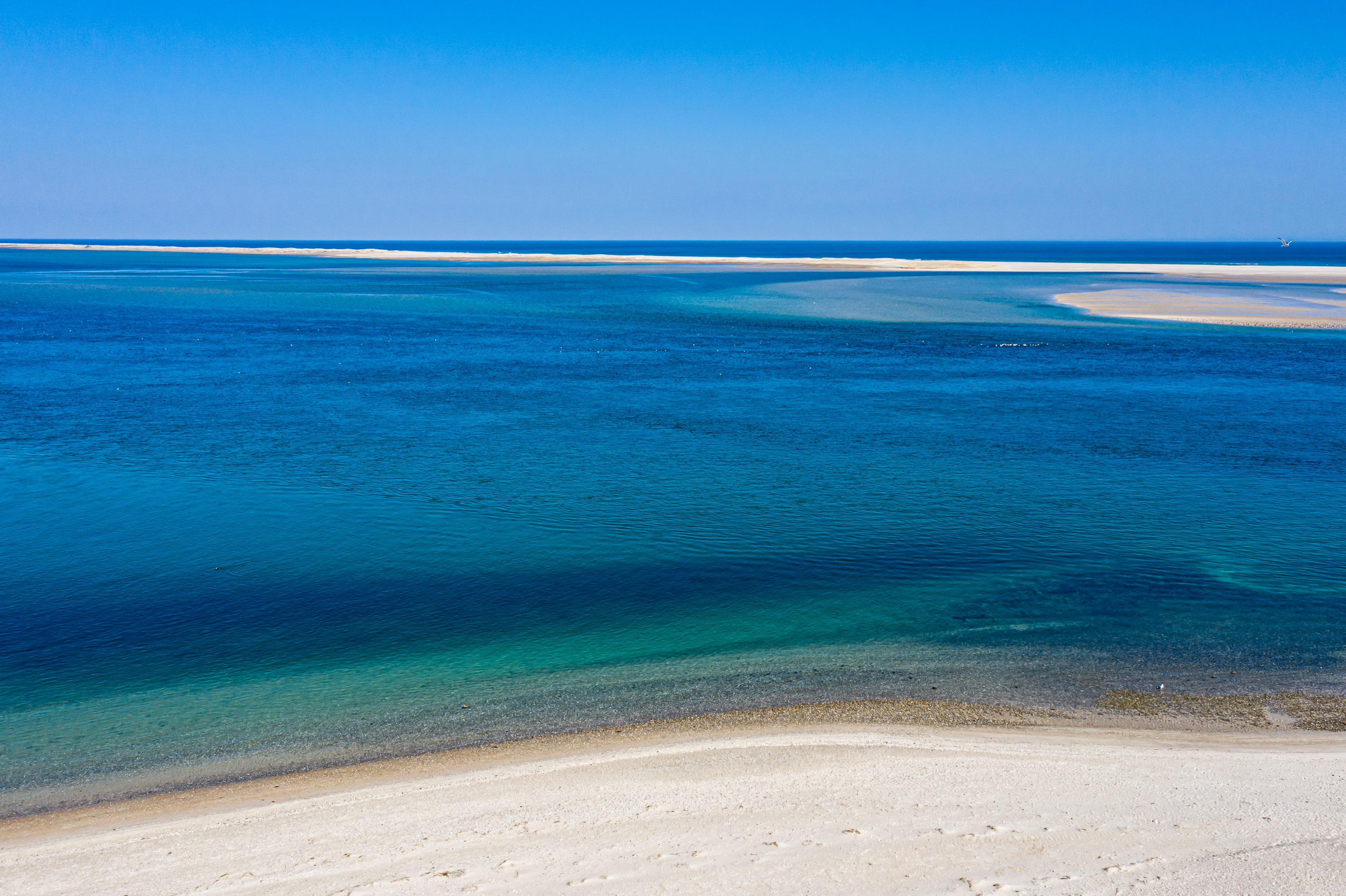 229 Scatteree Road North Chatham, MA 02650 - Photo 8 of 36 229ScaLR-97
