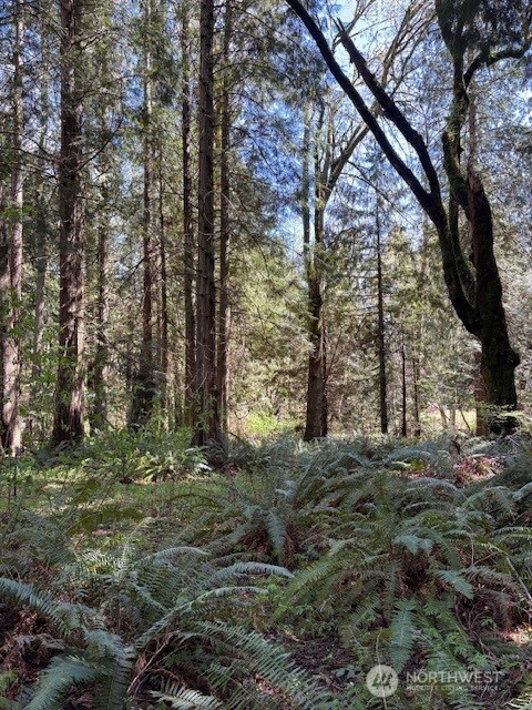 0 Agate Pass Road Northeast, Unit LOT B Bainbridge Island, WA 98110 - Photo 2 of 5
