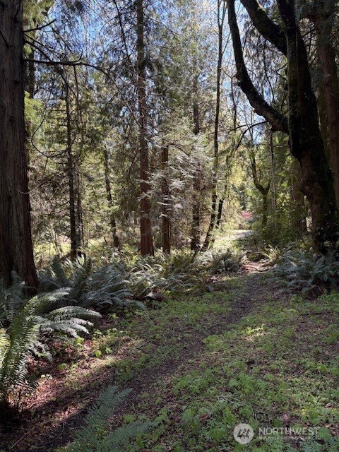 0 Agate Pass Road Northeast, Unit LOT B Bainbridge Island, WA 98110 - Photo 3 of 5