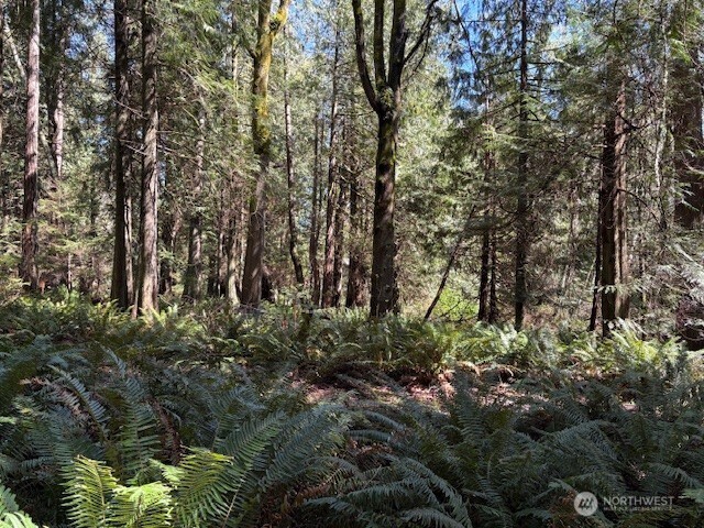 0 Agate Pass Road Northeast, Unit LOT B Bainbridge Island, WA 98110 - Photo 4 of 5