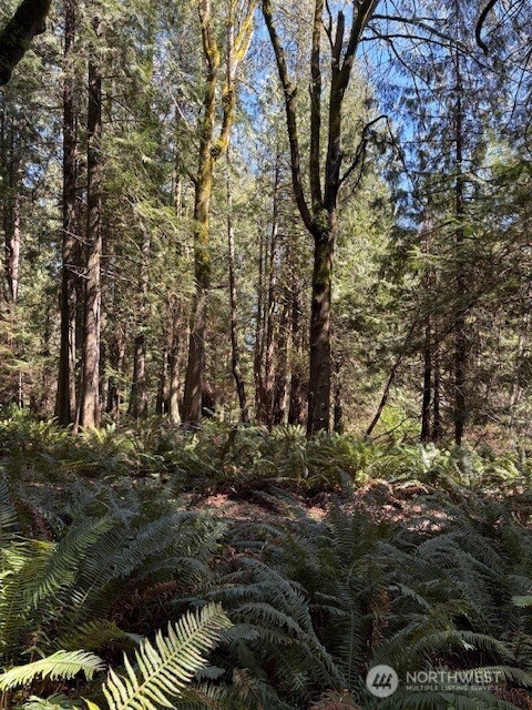 0 Agate Pass Road Northeast, Unit LOT B Bainbridge Island, WA 98110 - Photo 5 of 5