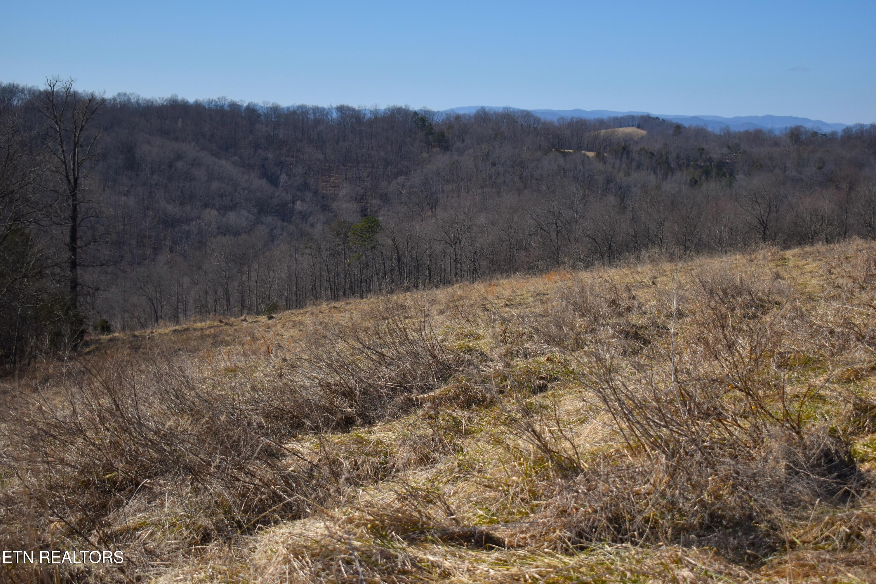 787 Oak Grove Road Harrogate, TN 37752 - Photo 13 of 23 DSC_0014