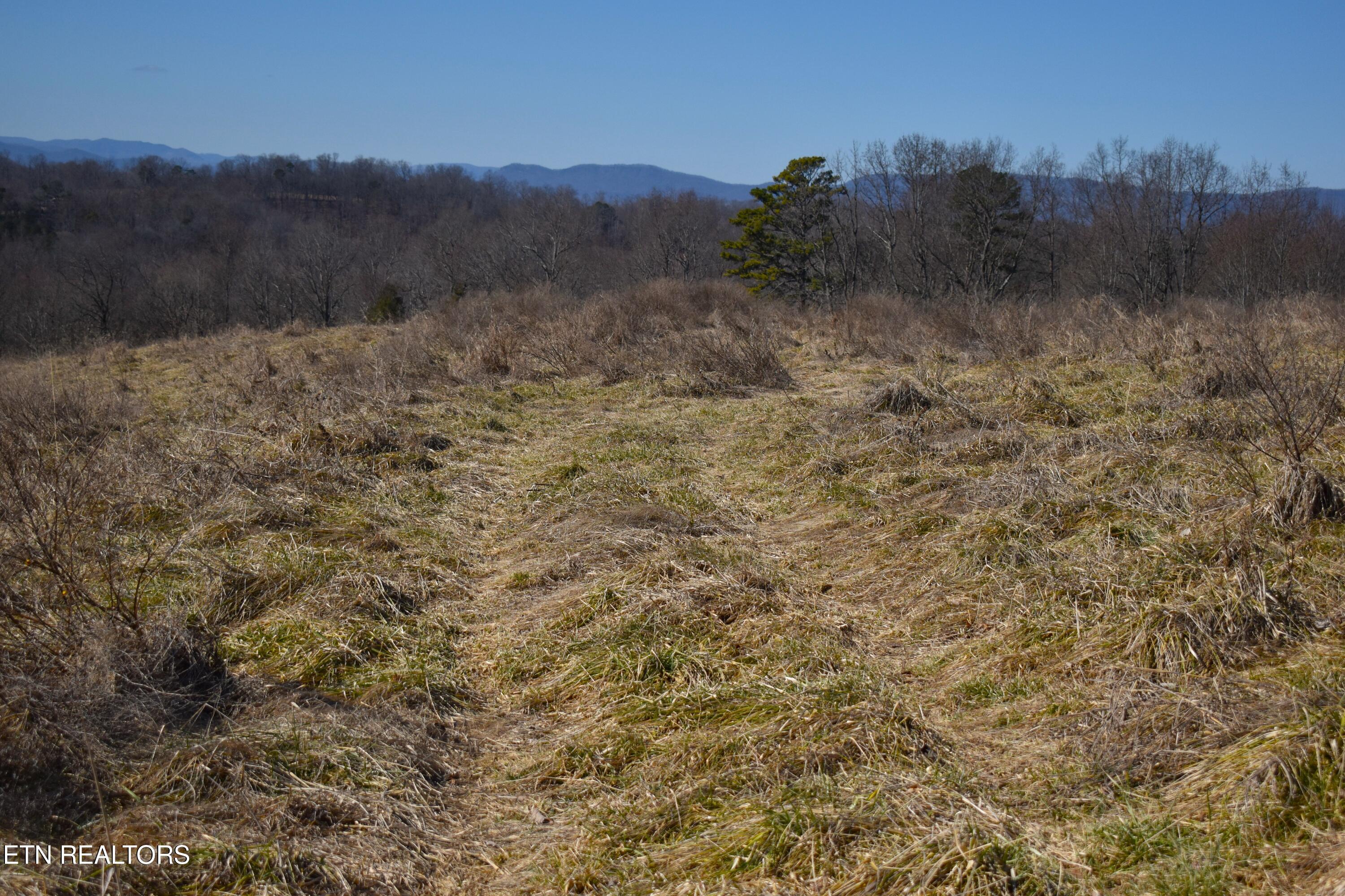 787 Oak Grove Road Harrogate, TN 37752 - Photo 14 of 23 DSC_0015