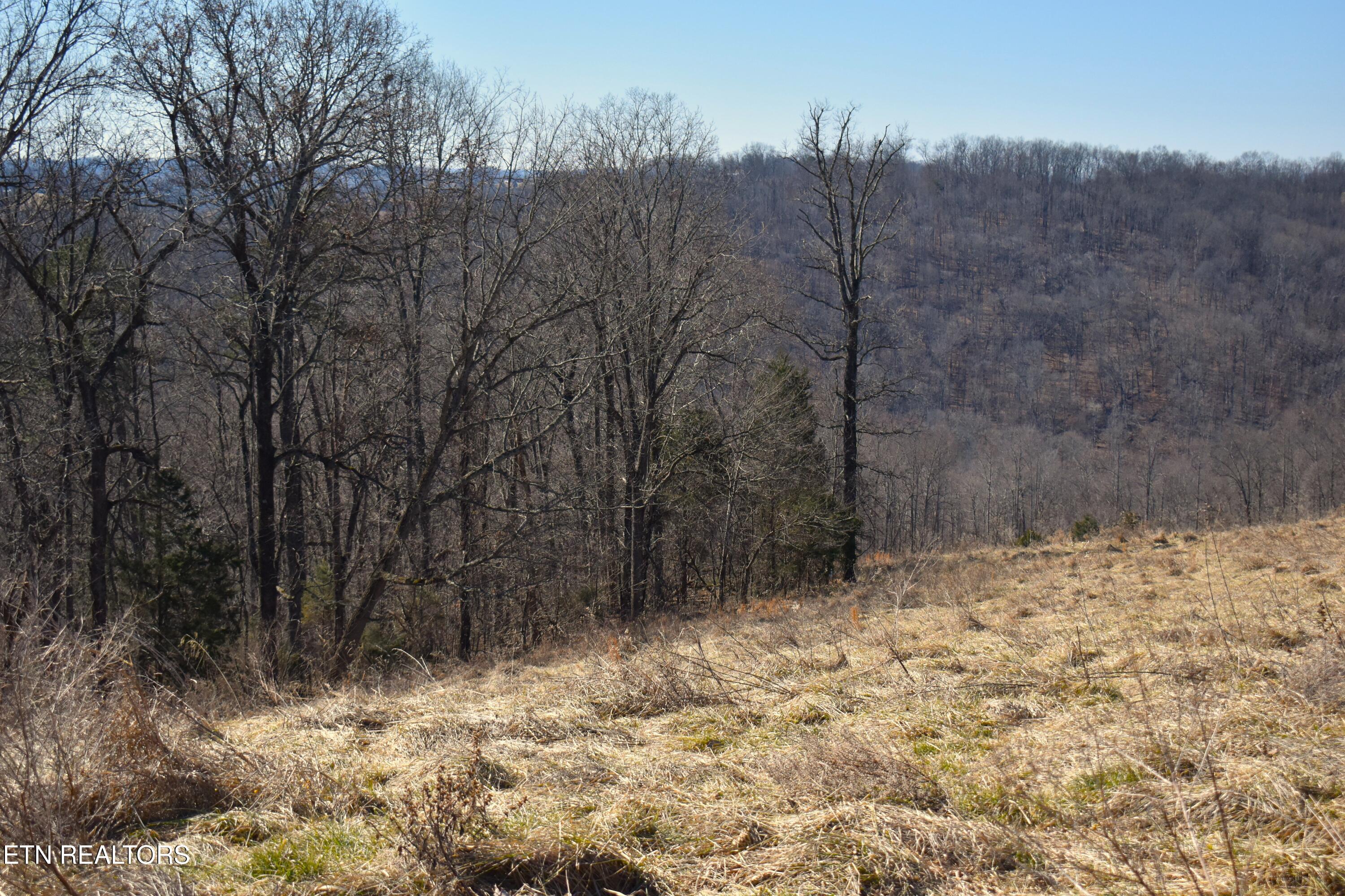 787 Oak Grove Road Harrogate, TN 37752 - Photo 15 of 23 DSC_0016