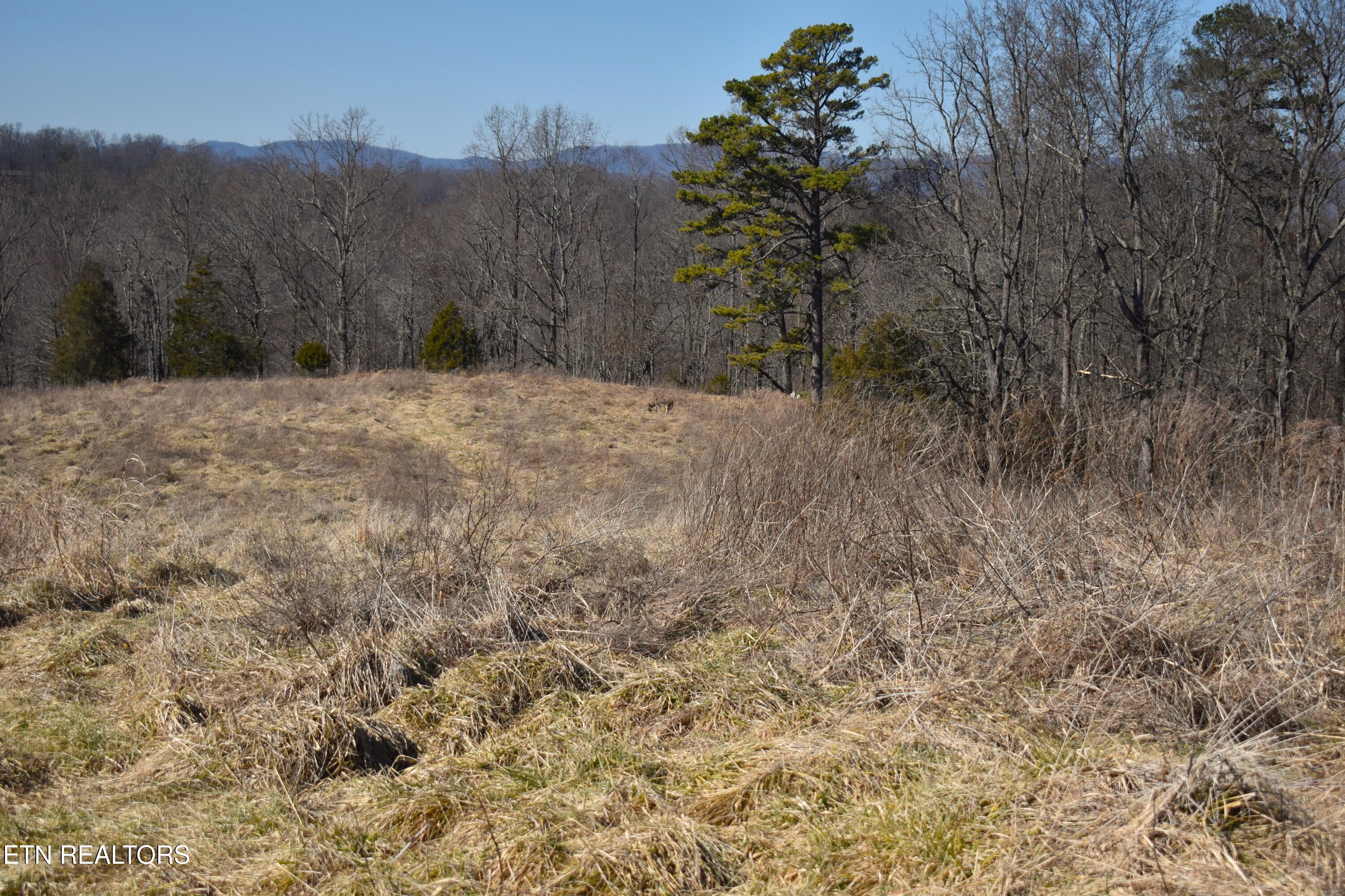 787 Oak Grove Road Harrogate, TN 37752 - Photo 17 of 23 DSC_0018