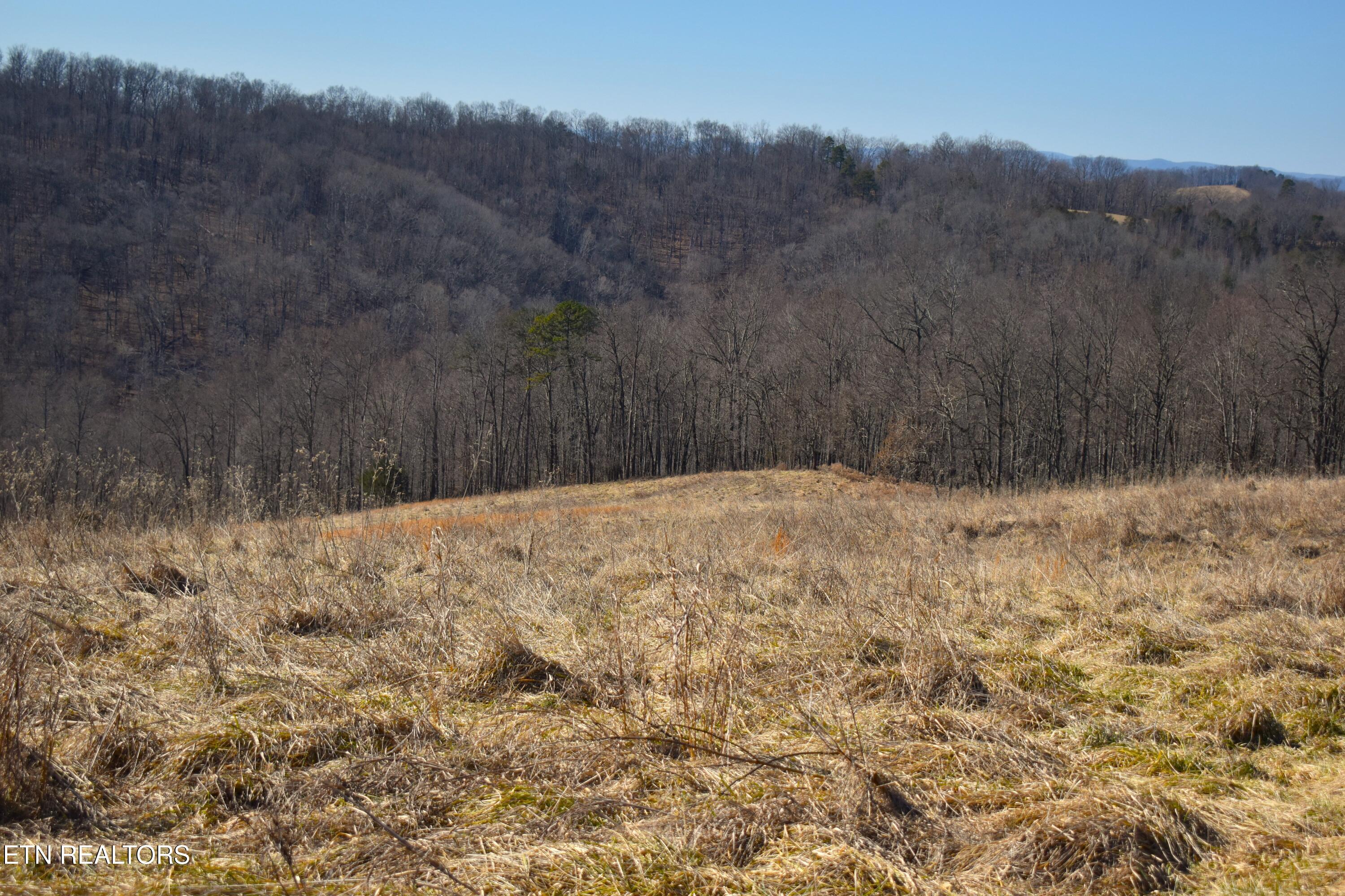 787 Oak Grove Road Harrogate, TN 37752 - Photo 18 of 23 DSC_0019
