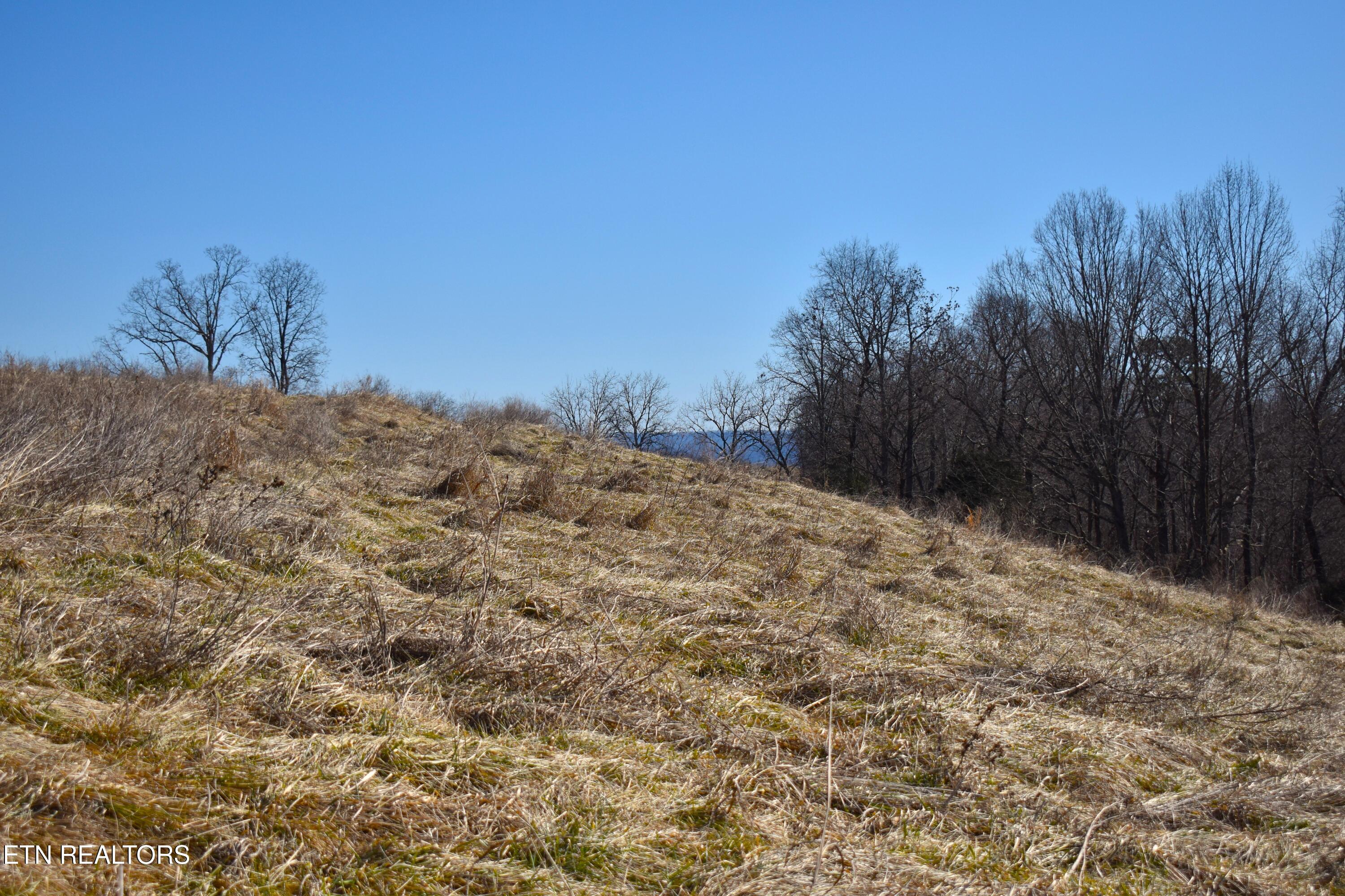 787 Oak Grove Road Harrogate, TN 37752 - Photo 19 of 23 DSC_0020