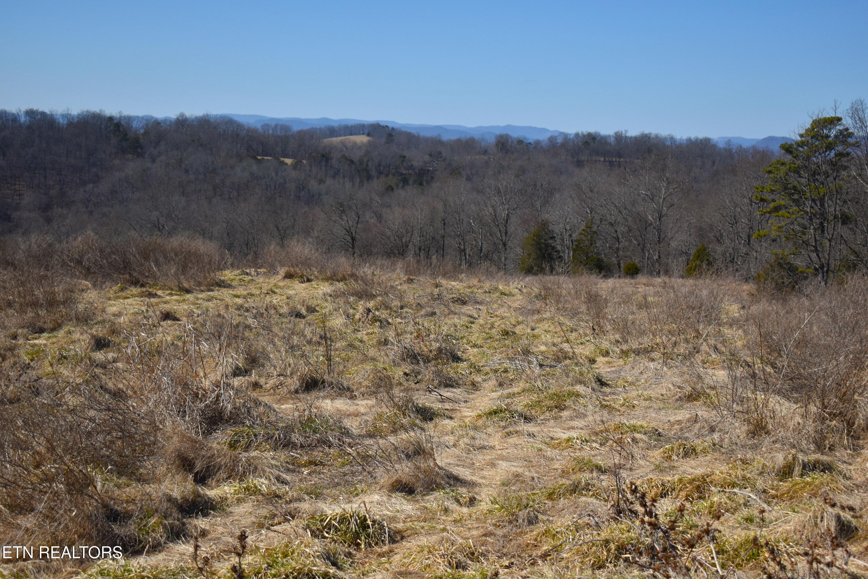 787 Oak Grove Road Harrogate, TN 37752 - Photo 20 of 23 DSC_0021