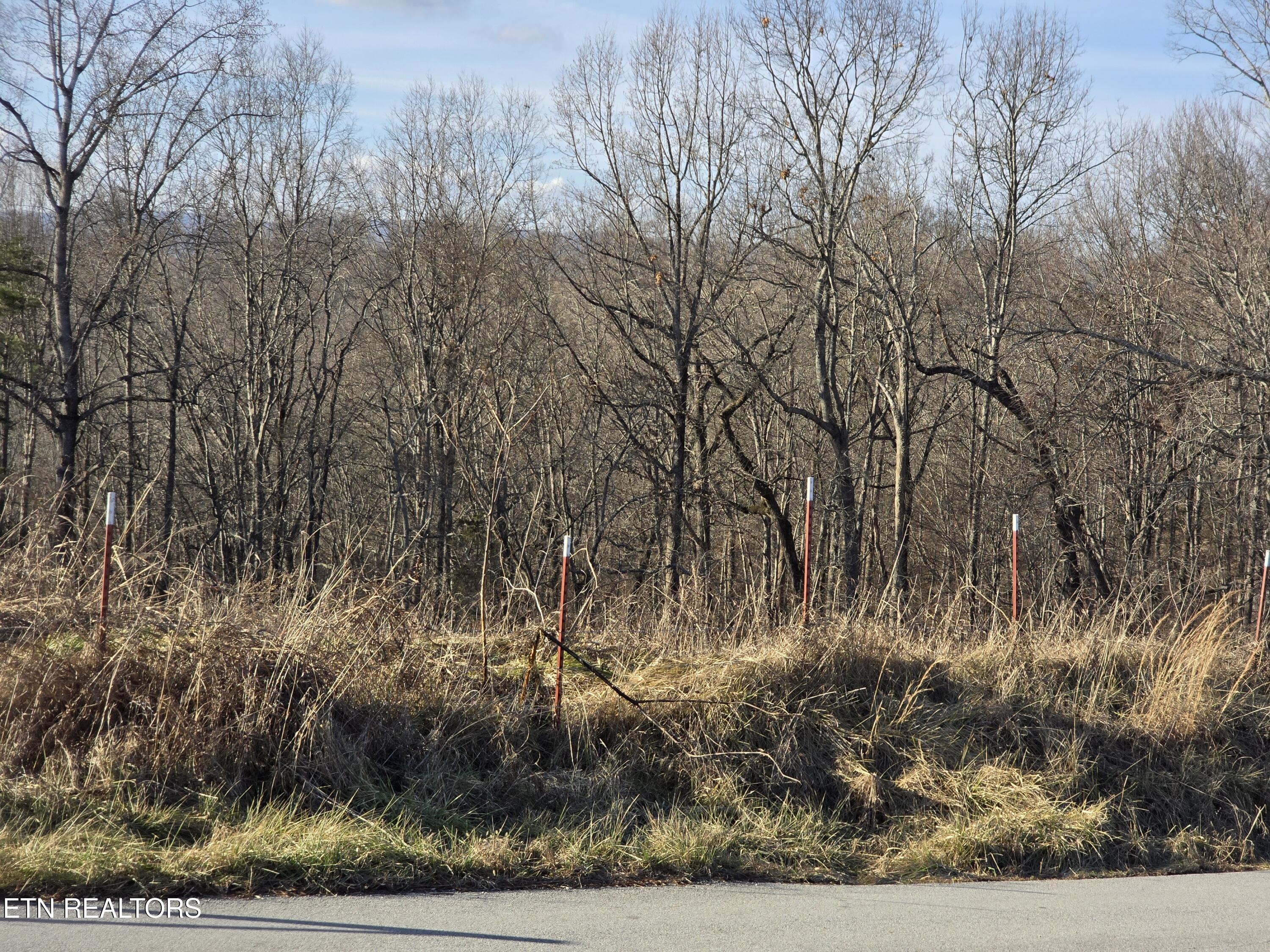 787 Oak Grove Road Harrogate, TN 37752 - Photo 2 of 3 20250202_161045