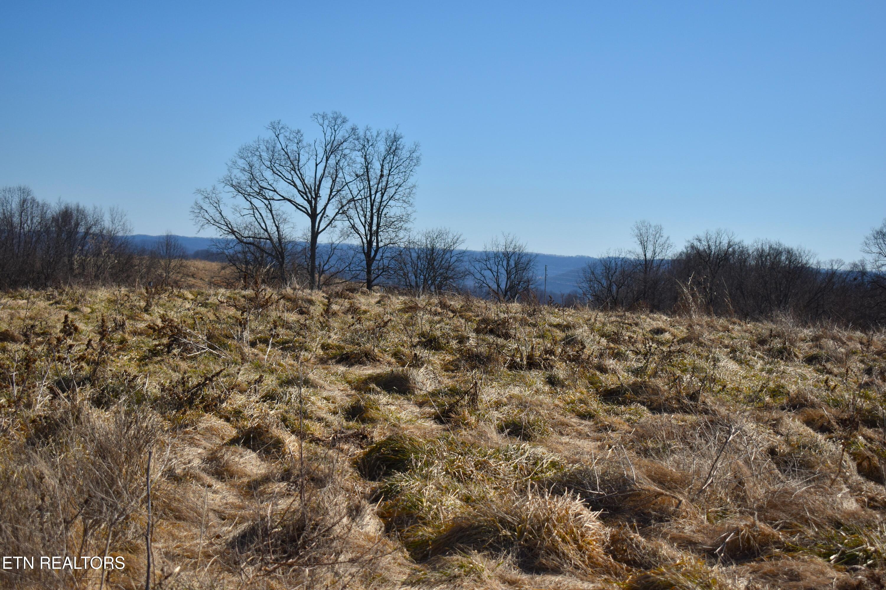 787 Oak Grove Road Harrogate, TN 37752 - Photo 21 of 23 DSC_0022