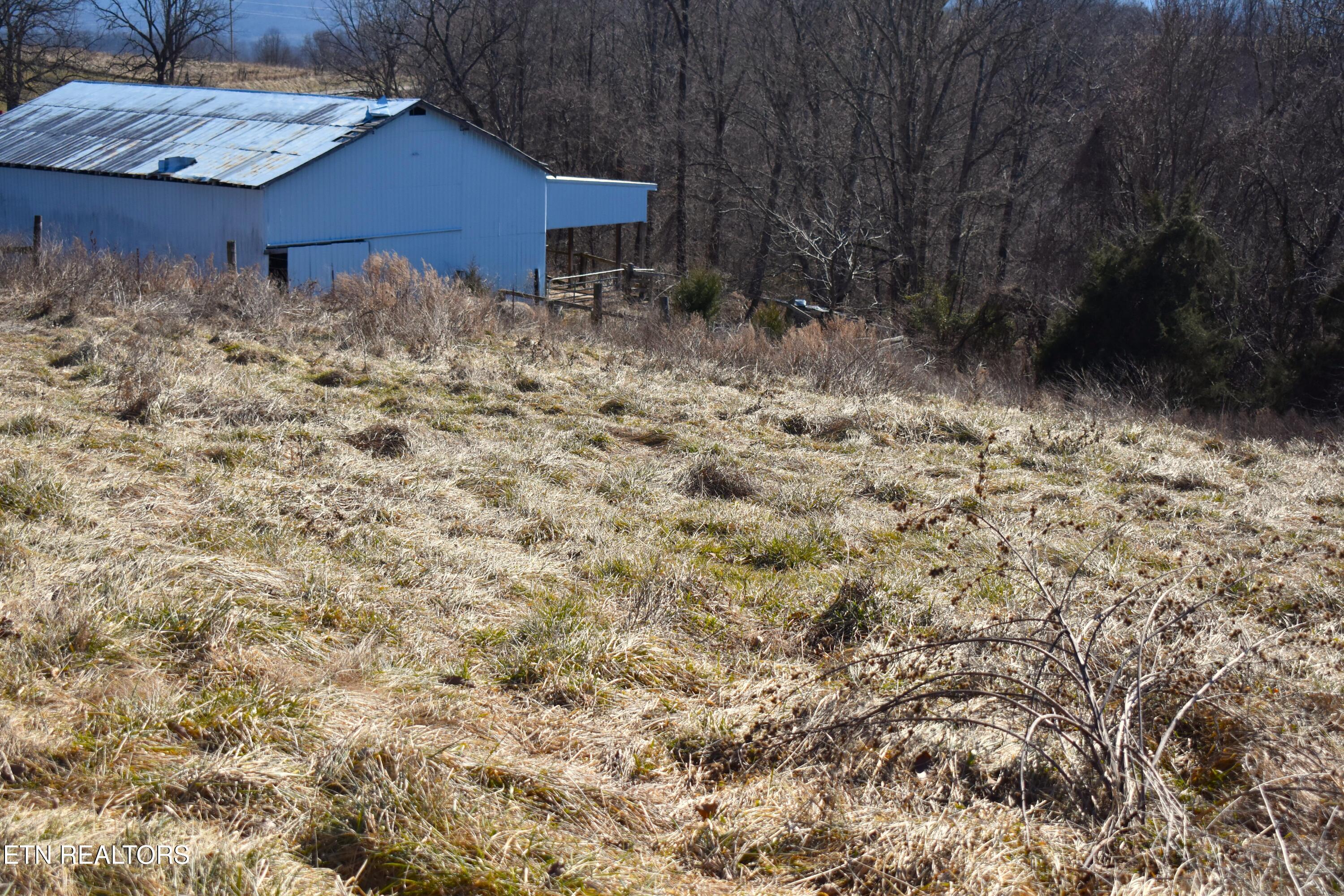 787 Oak Grove Road Harrogate, TN 37752 - Photo 23 of 23 DSC_0024
