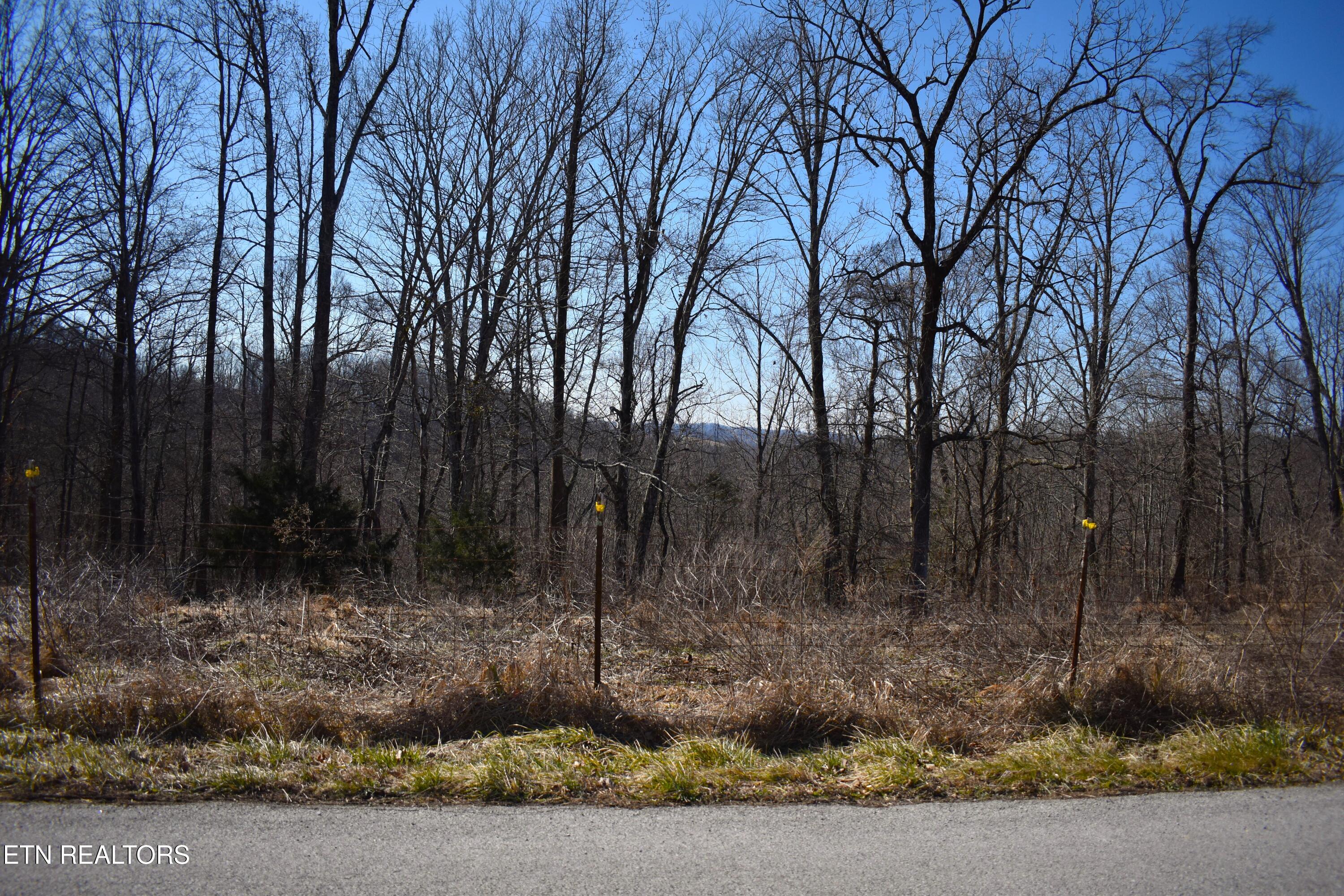 787 Oak Grove Road Harrogate, TN 37752 - Photo 5 of 23 DSC_0006