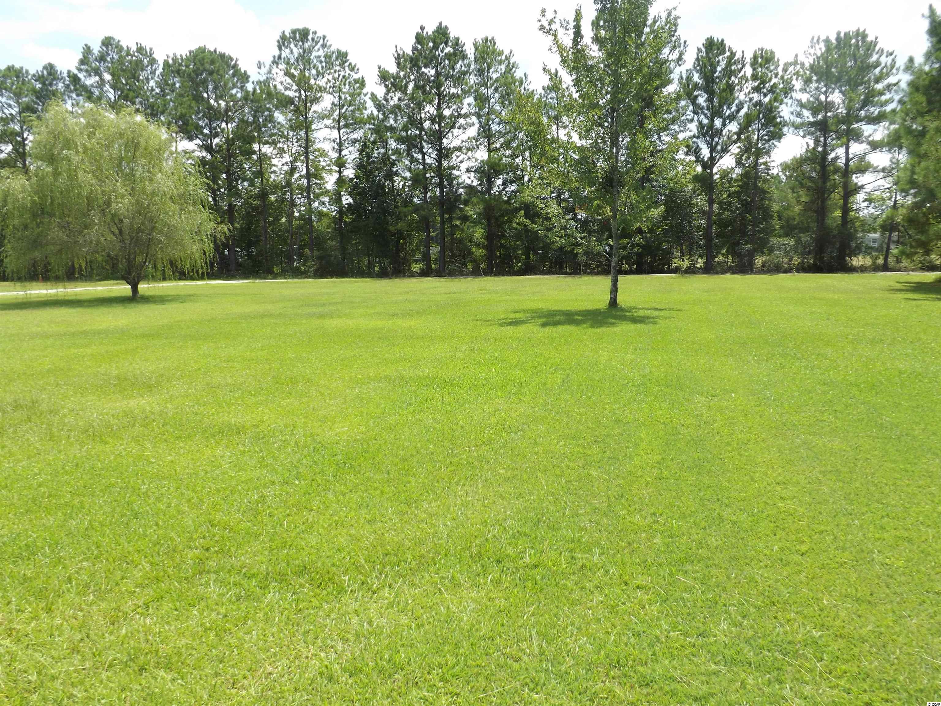 4711 Woodyard Bay Road Loris, SC 29569 - Photo 3 of 38 Gallery Image 3