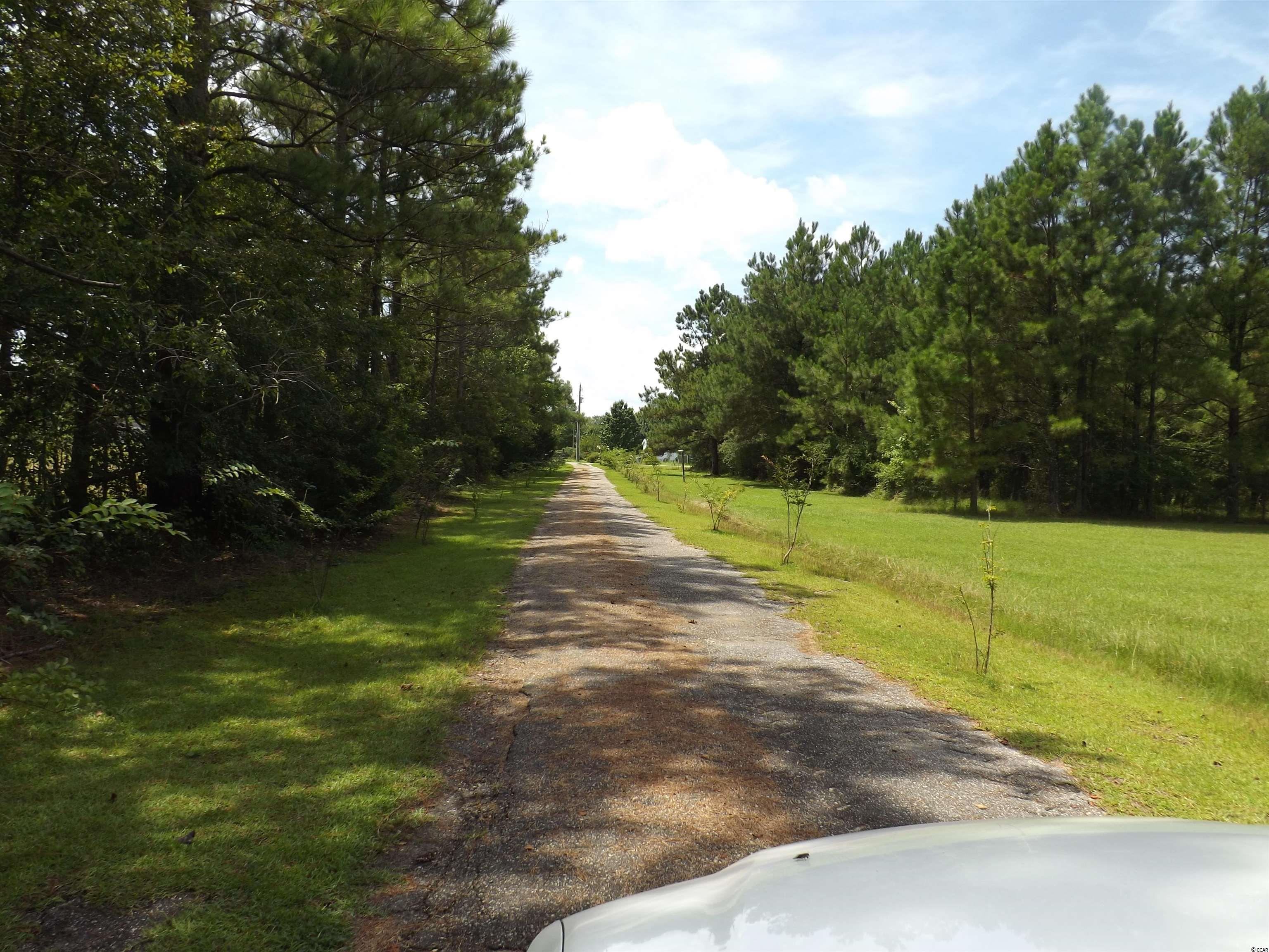 4711 Woodyard Bay Road Loris, SC 29569 - Photo 35 of 38 Gallery Image 35