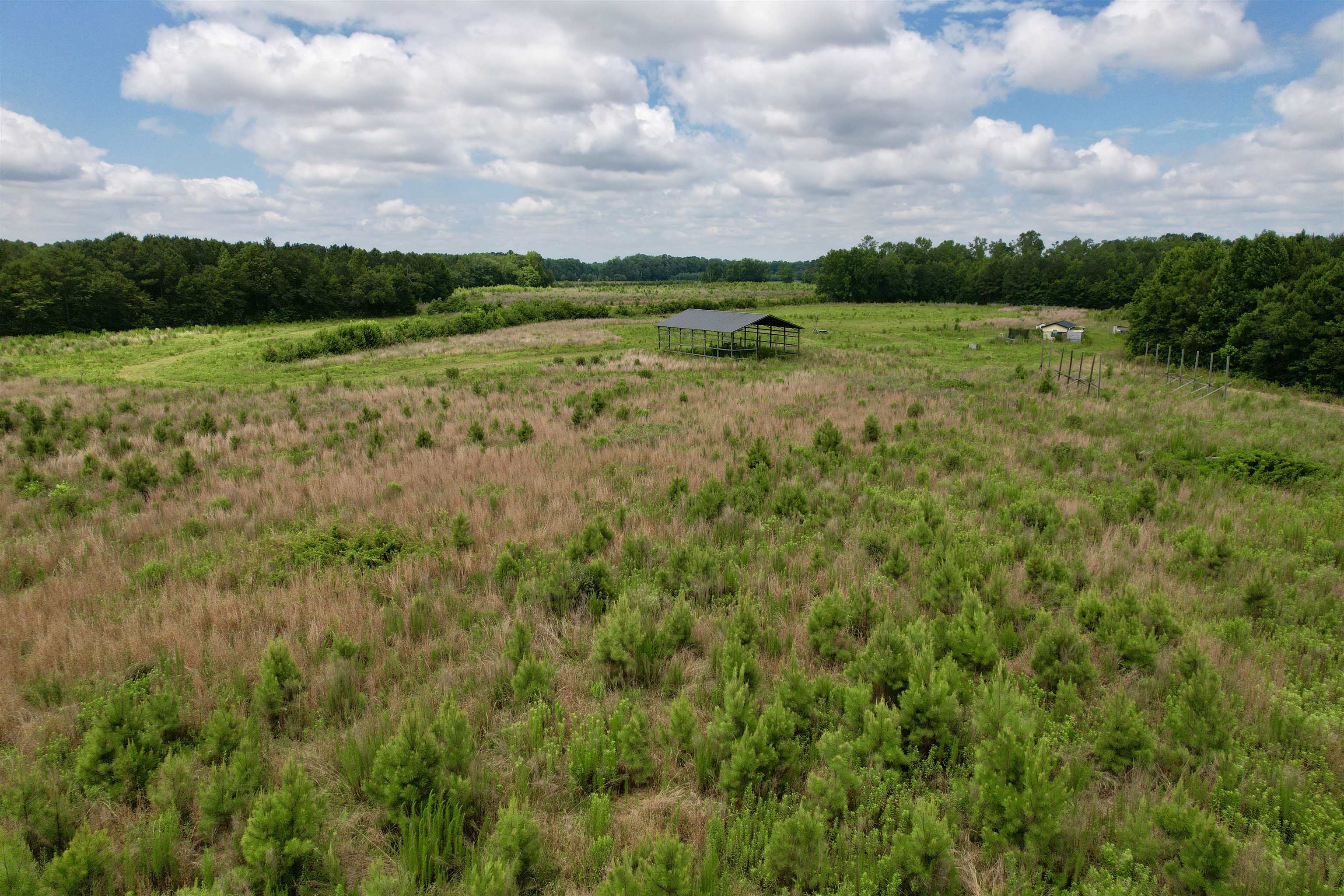 0 Powell Rd Green Green Sea, SC 29545 - Photo 47 of 72