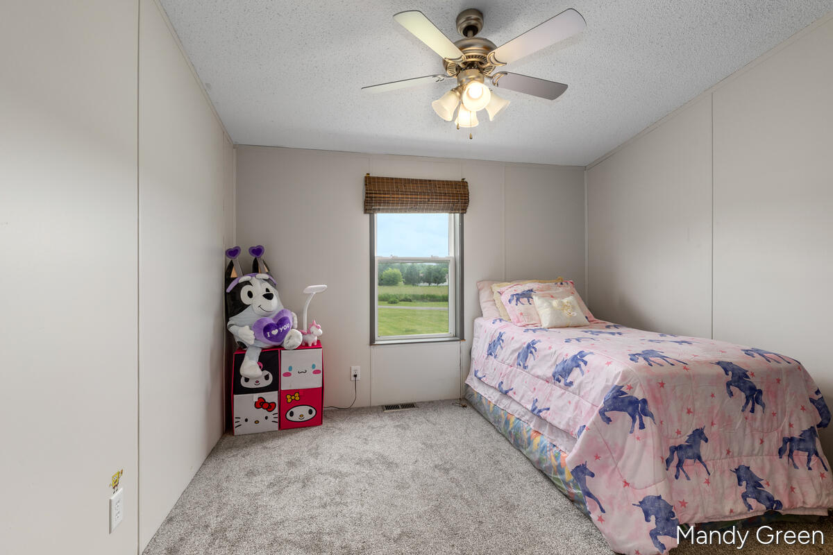 1007 Dildine Road Ionia, MI 48846 - Photo 24 of 37