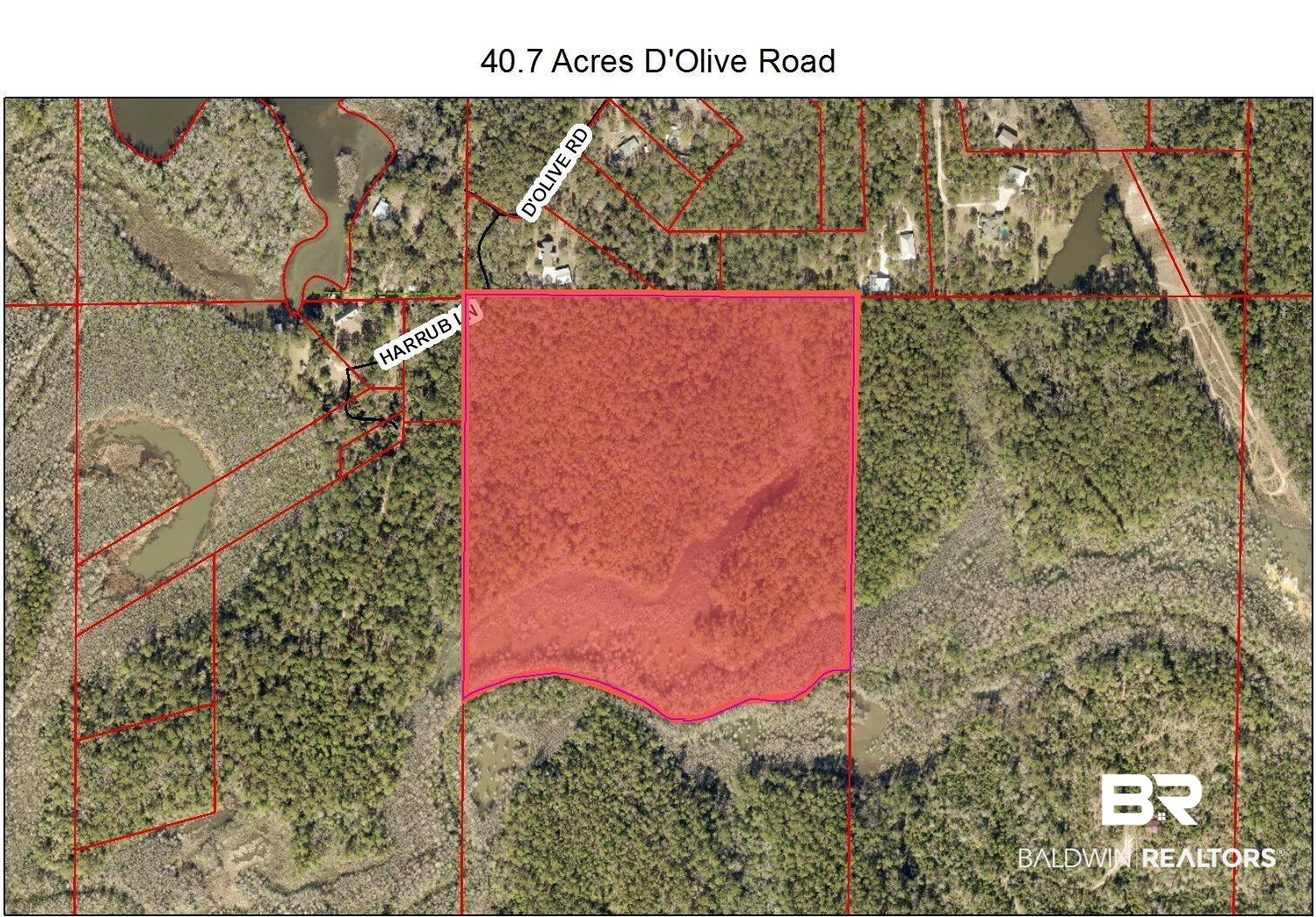 0 D'Olive Road Daphne, AL 36527 - Photo 1 of 1