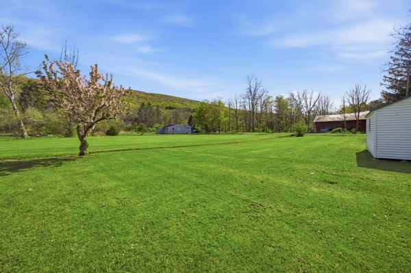 765 Italy Valley Road Italy, NY 14512 - Photo 5 of 23