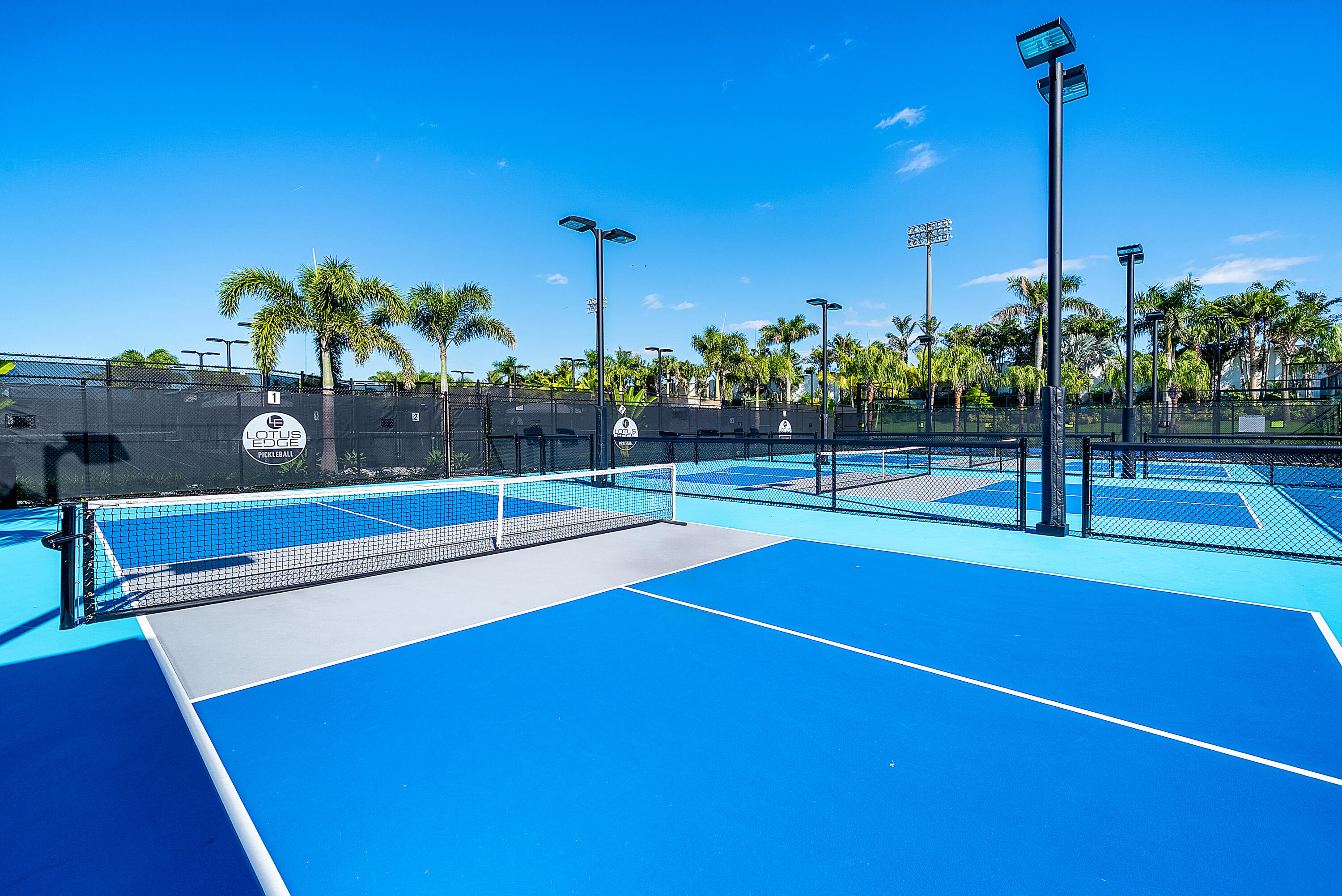 21015 Tangelo Tree Drive Boca Raton, FL 33434 - Photo 28 of 32 Pickle Courts