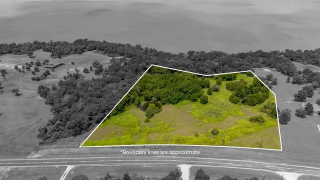 a view of a yard with plants