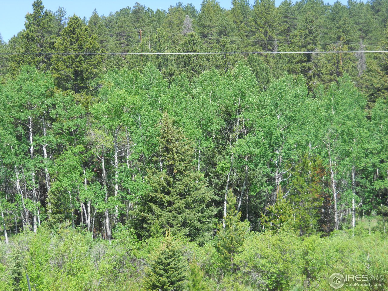 7835 Overland Road Ward, CO 80481 - Photo 23 of 24 ...and Deck Views