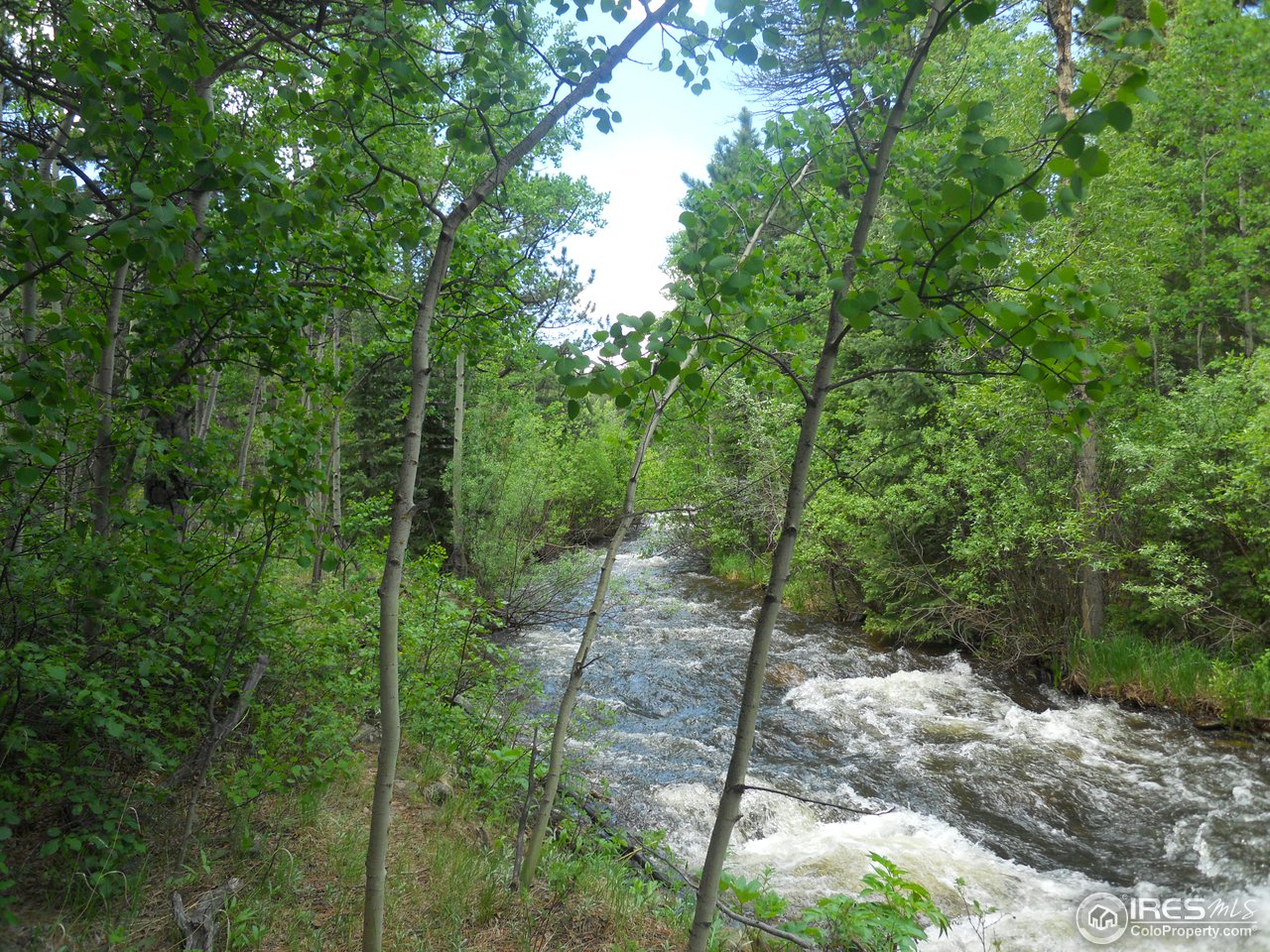 7835 Overland Road Ward, CO 80481 - Photo 3 of 24 River on Property