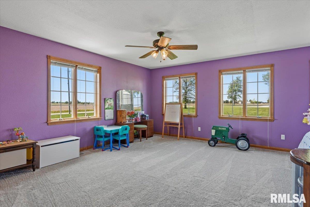 20205 North 20th Avenue Nokomis, IL 62075 - Photo 19 of 88