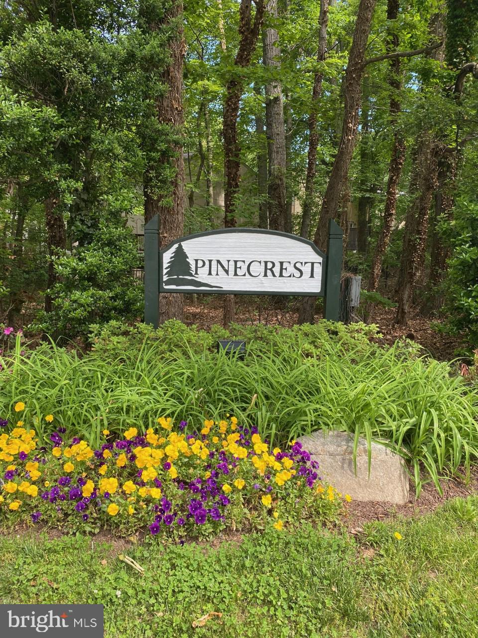 2485 Pyrenees Court Reston, VA 20191 - Photo 2 of 26 Pinecrest neighborhood