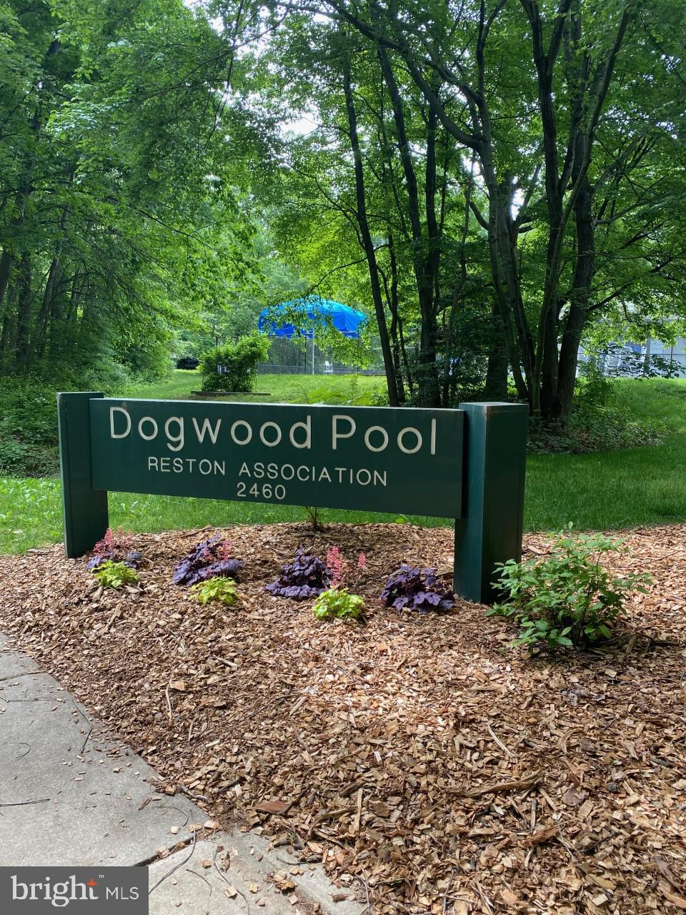 2485 Pyrenees Court Reston, VA 20191 - Photo 3 of 26 Across the street from community pool