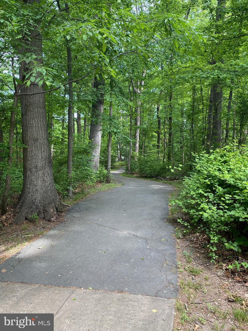 2485 Pyrenees Court Reston, VA 20191 - Photo 5 of 26 Walking trail next to neighborhood