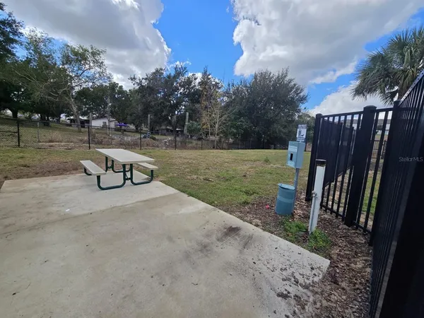 a view of a yard