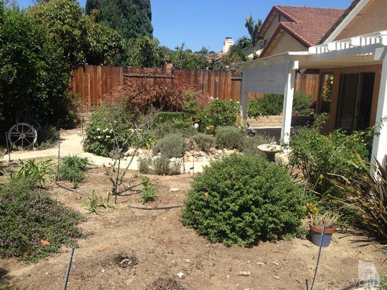 1757 Old Ranch Road Camarillo, CA 93012 - Photo 37 of 39 a view of backyard with potted plants and a large tree