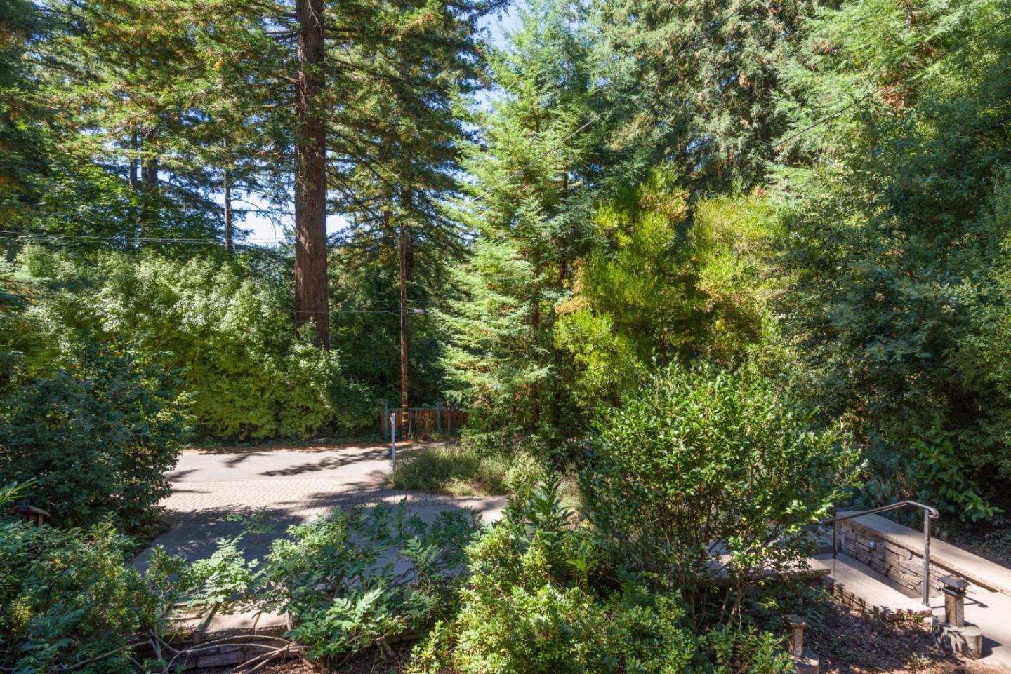 8 Big Tree Way Woodside, CA 94062 - Photo 30 of 31 a view of tree