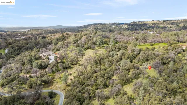 an aerial view of houses covered in trees
