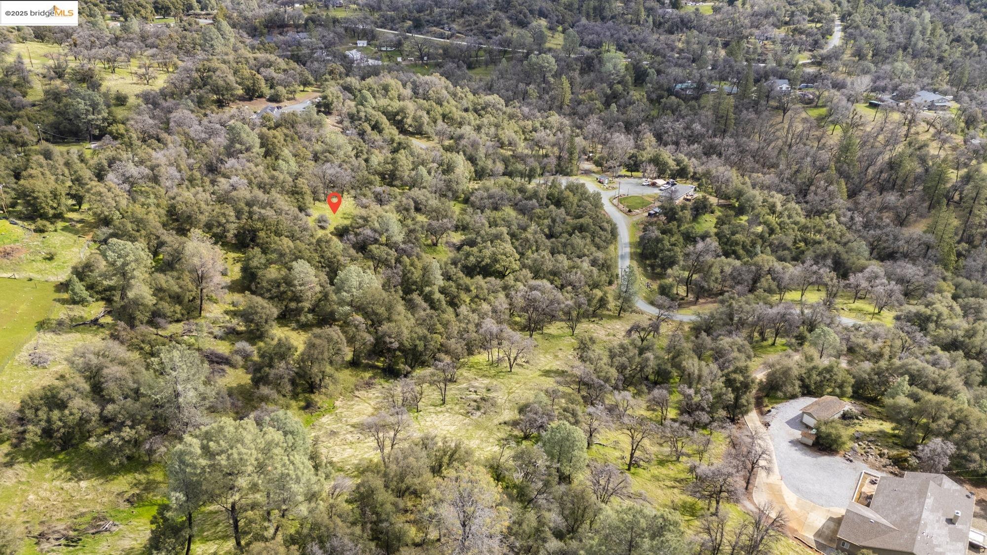 19631 Whitto Mine Road Sonora, CA 95370 - Photo 9 of 12 a view of a dry yard
