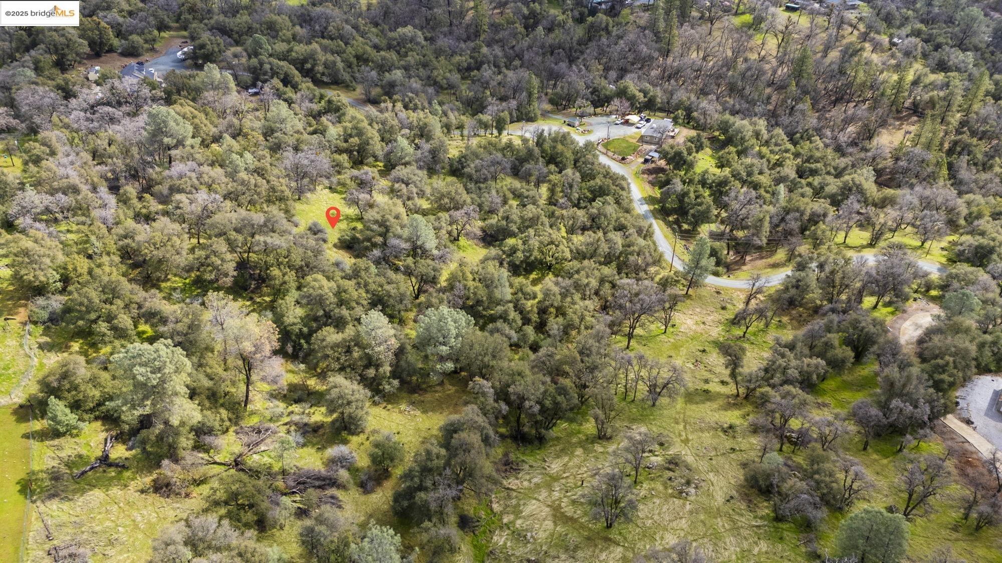 19631 Whitto Mine Road Sonora, CA 95370 - Photo 10 of 12 a view of a yard