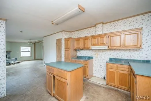 $165,000 | 99 Hickory Lane, Foley, MO 63347