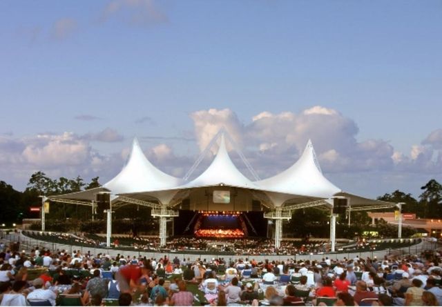 a picture of a room with a lot of flowers