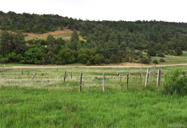a view of a green field with a bench