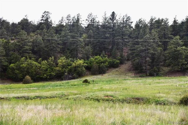 a view of a water pond with green yard