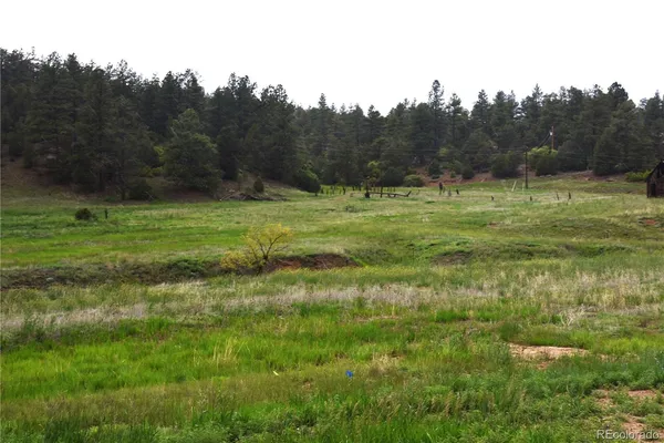 a view of a grassy field with trees in the background