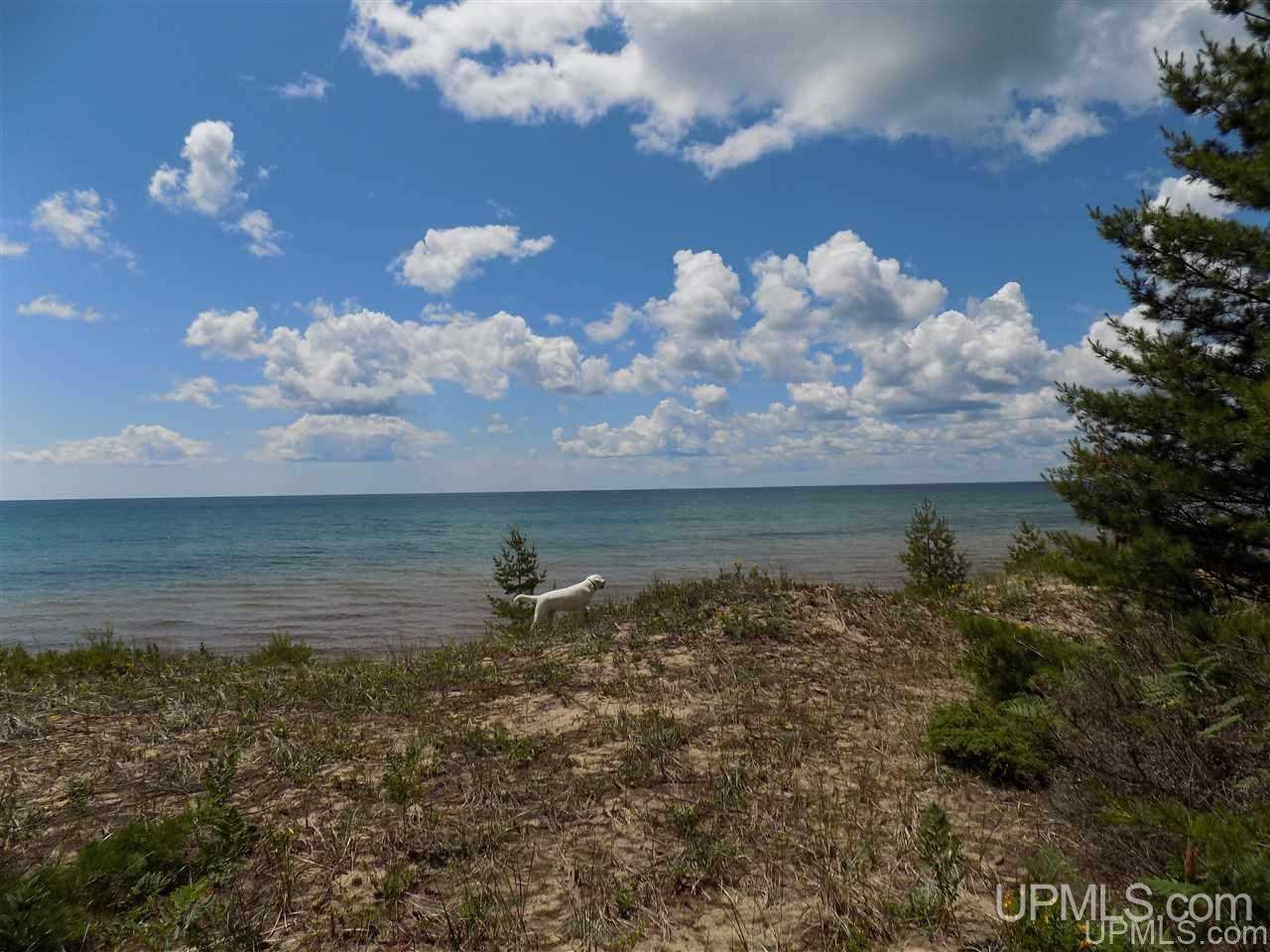 Tbd Top O Lake Road Gulliver, MI 49840 - Photo 21 of 38