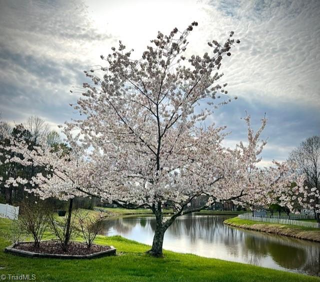 3303 Timberwolf Avenue High Point, NC 27265 - Photo 33 of 34 Enjoy this beautiful Cherry Tree in your backyard