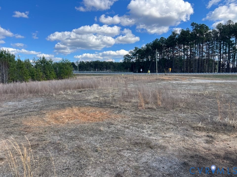 0 Cox -460 Business Road Blackstone, VA 23824 - Photo 4 of 5