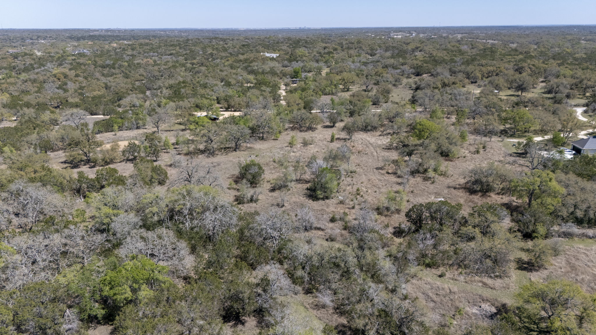 453 Nameless Road Driftwood, TX 78619 - Photo 23 of 35 a view of a forest with trees in the background