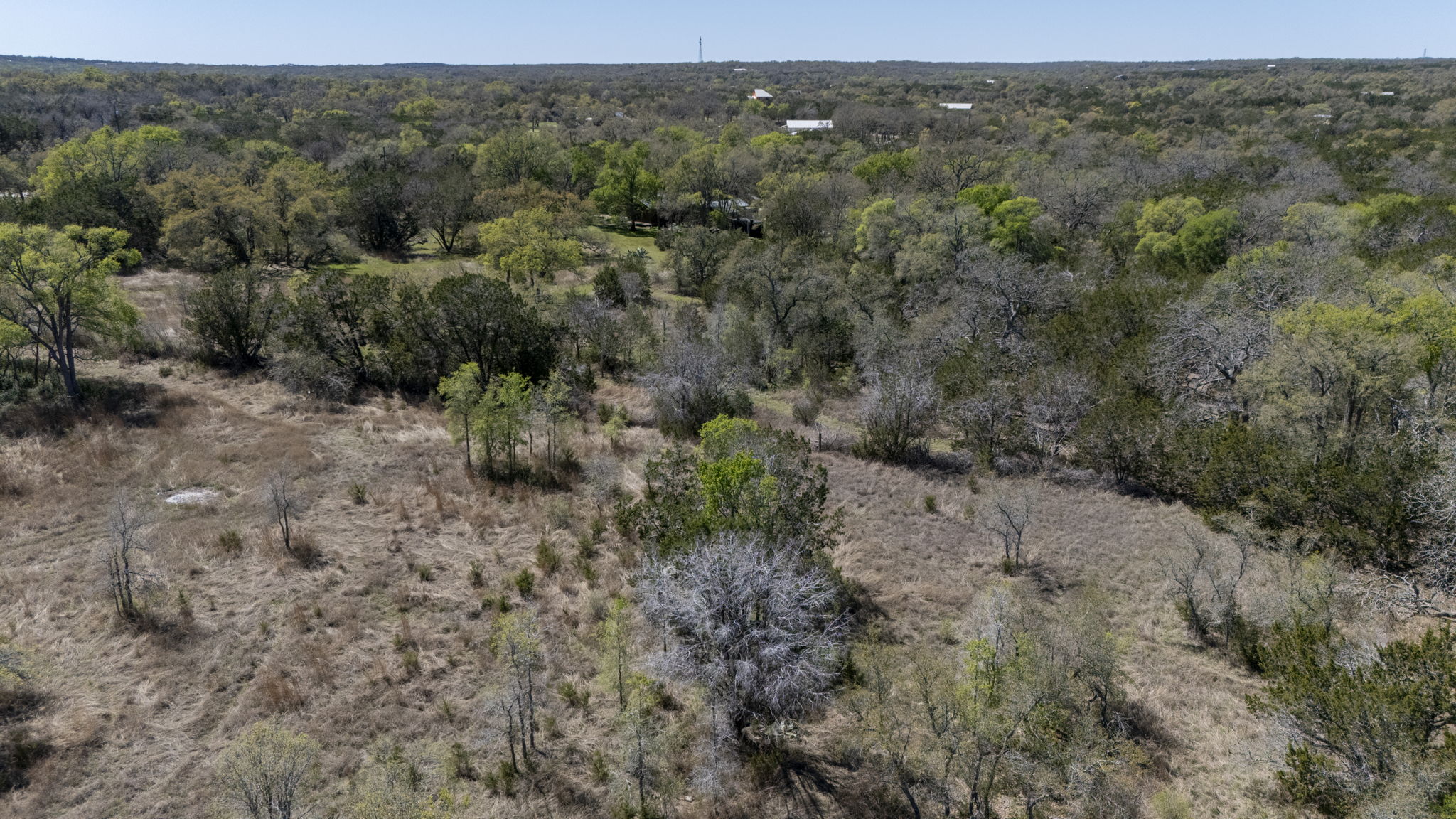453 Nameless Road Driftwood, TX 78619 - Photo 26 of 35 a view of a dry yard with green space