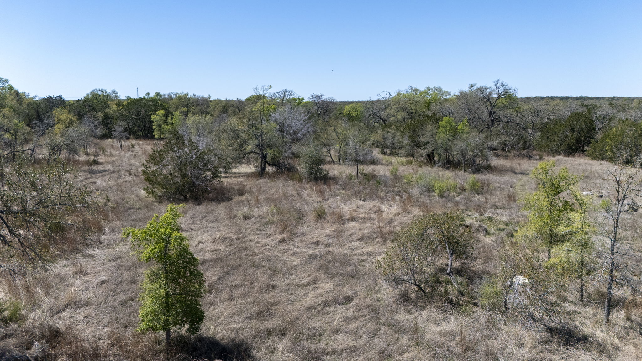 453 Nameless Road Driftwood, TX 78619 - Photo 27 of 35 a view of a forest with trees in the background